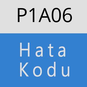 P1A06 hatasi