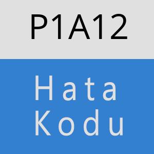 P1A12 hatasi