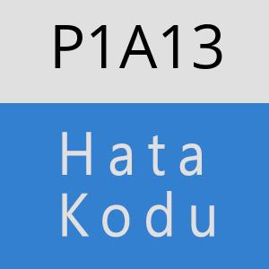 P1A13 hatasi