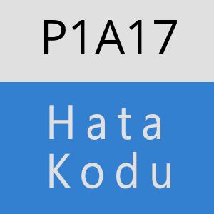 P1A17 hatasi