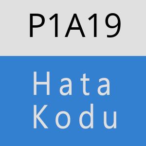 P1A19 hatasi