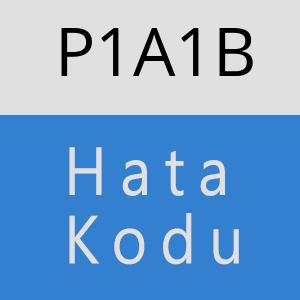 P1A1B hatasi