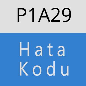 P1A29 hatasi