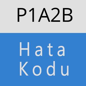 P1A2B hatasi