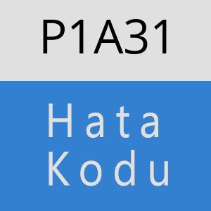 P1A31 hatasi