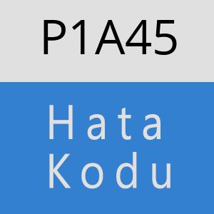 P1A45 hatasi