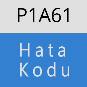 P1A61 hatasi