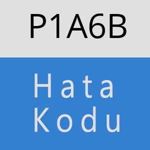 P1A6B hatasi