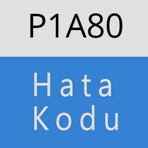 P1A80 hatasi