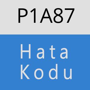 P1A87 hatasi