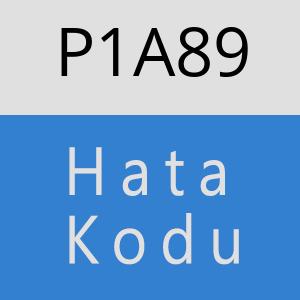 P1A89 hatasi