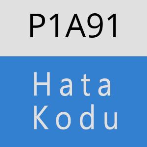 P1A91 hatasi