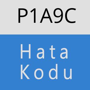 P1A9C hatasi