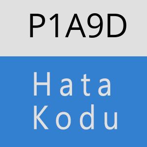 P1A9D hatasi