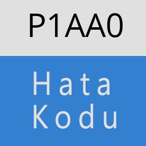 P1AA0 hatasi