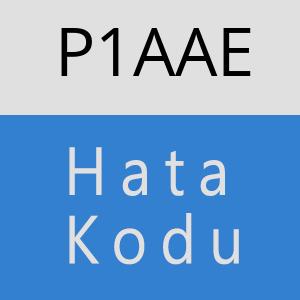 P1AAE hatasi