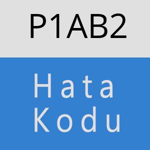 P1AB2 hatasi