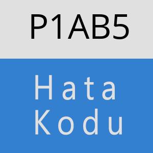 P1AB5 hatasi