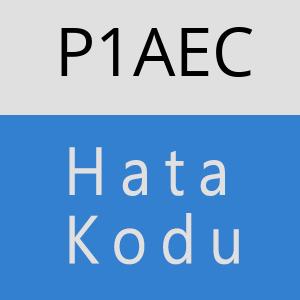 P1AEC hatasi