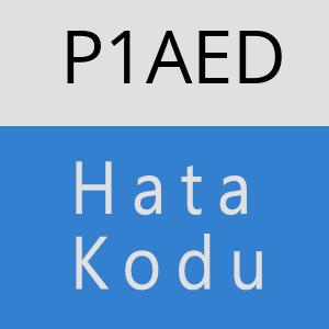 P1AED hatasi