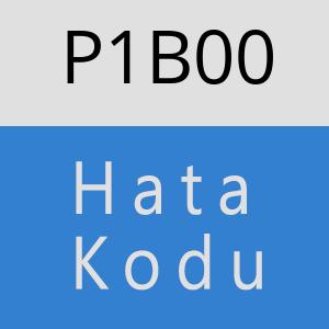 P1B00 hatasi