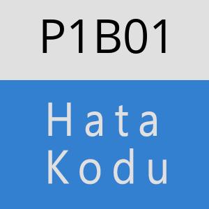 P1B01 hatasi