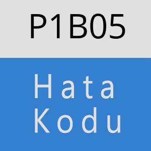 P1B05 hatasi