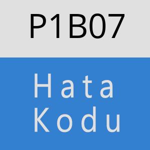 P1B07 hatasi