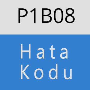 P1B08 hatasi