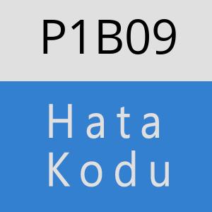 P1B09 hatasi