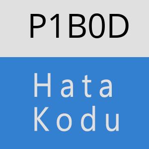 P1B0D hatasi