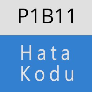 P1B11 hatasi