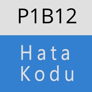 P1B12 hatasi