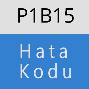 P1B15 hatasi