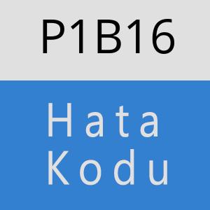 P1B16 hatasi