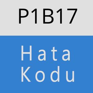 P1B17 hatasi