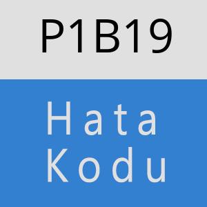 P1B19 hatasi