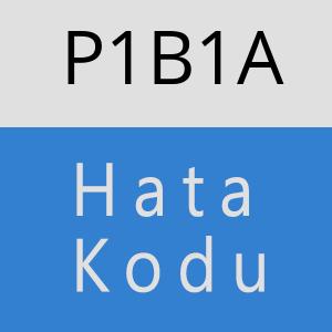 P1B1A hatasi