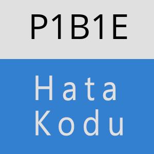 P1B1E hatasi