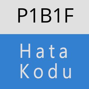 P1B1F hatasi