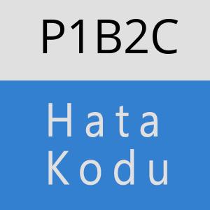 P1B2C hatasi