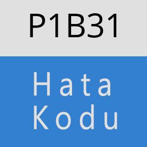 P1B31 hatasi