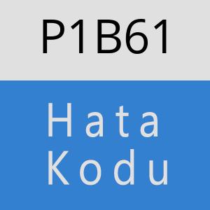 P1B61 hatasi