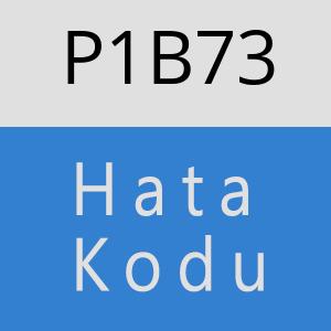 P1B73 hatasi