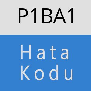 P1BA1 hatasi