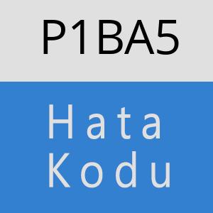 P1BA5 hatasi