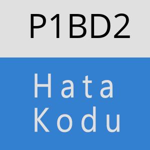 P1BD2 hatasi