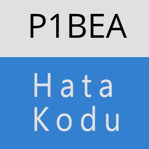 P1BEA hatasi