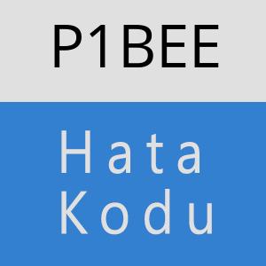 P1BEE hatasi