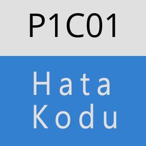 P1C01 hatasi